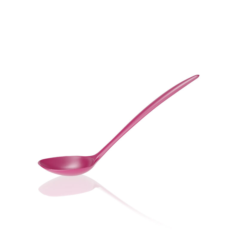 NEW Classic Serving spoon