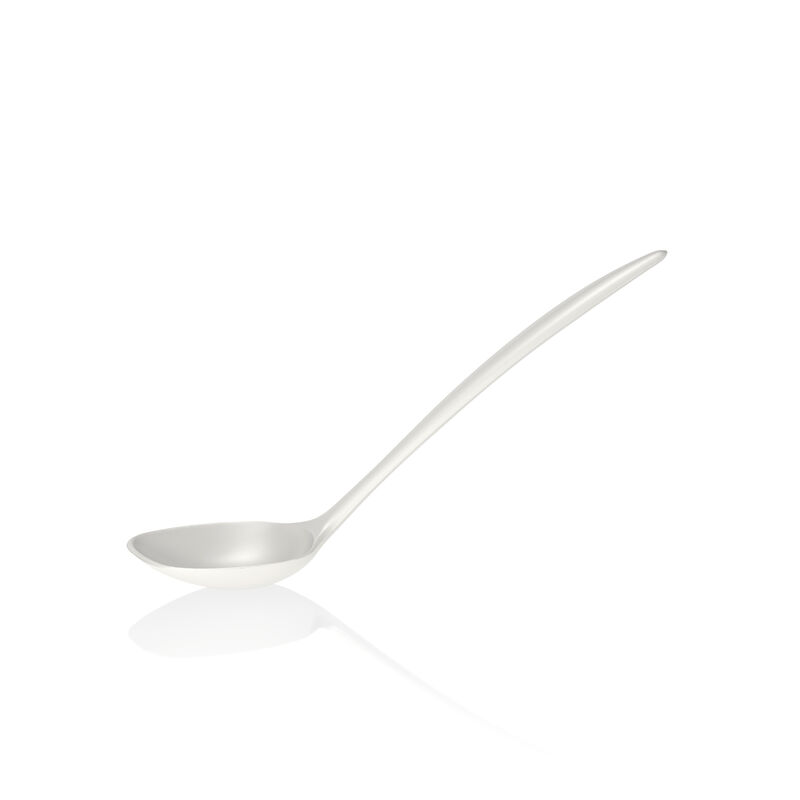 NEW Classic Serving spoon